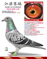 ĸ�ף�������ҫ֮��