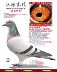 ֱŮ��������¶