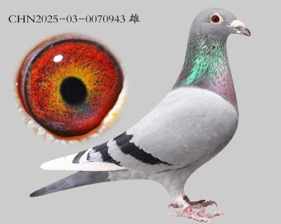 ����x����x��ʱ��.0070943