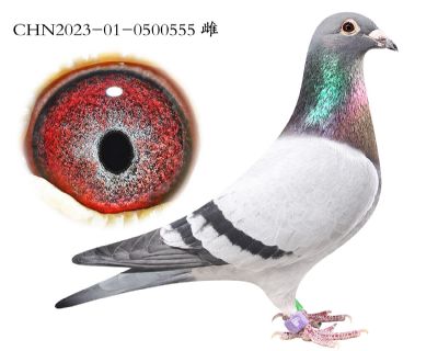 ����x����x��ʱ��.0500555