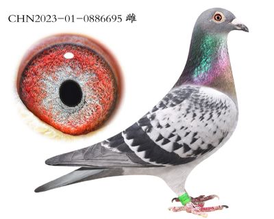 ����x����x��ʱ��.0886695