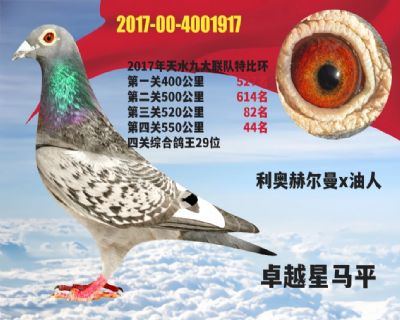 ��ˮ����29