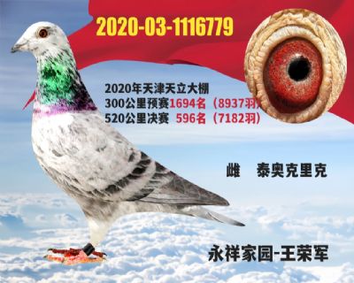 �����������596��