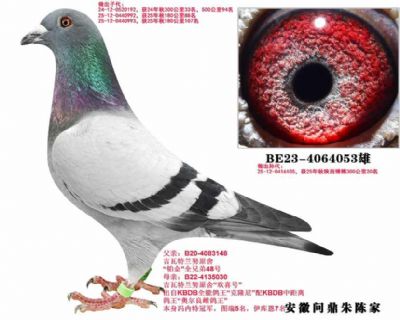 ��������Ŭ 053