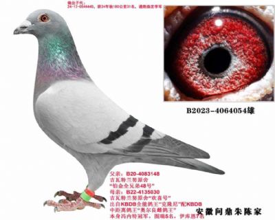 ��������Ŭ 054