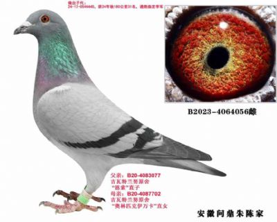 ��������Ŭ 056