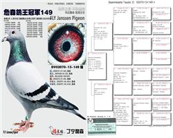 ��ĸ����