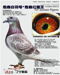 ��ĸ����