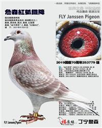 ��ĸ����