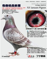 ��ĸ����