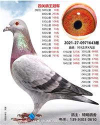 ֱ�ӱ�����ظ����ܹ�