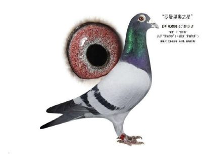 ���������֮�ǡ�