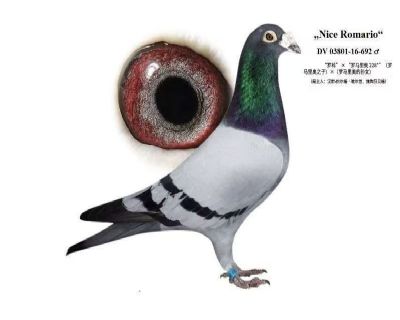 Ư���ġ�������¡�