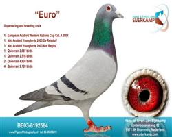 ������ ŷԪ��