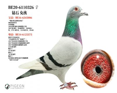 ����ƥ�� ���ض�006ֱŮ