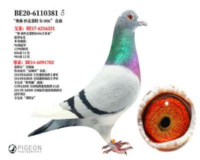 ����ƥ�˻��ض� 006ֱ��