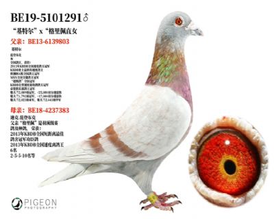 �����ض���x ��������ֱŮ