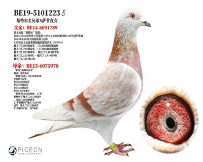 ���ض�ȫ�ֵ�X����ֱŮ