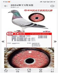 58�������������3