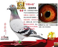 �۸븸��һ�������4