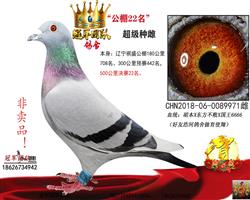 �۸�ĸ��Ҳ�Ǵ��ϴ���