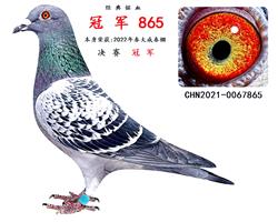 ĸ �� ����ھ�