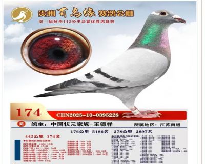 �F�ݰ��B���Qِ174��