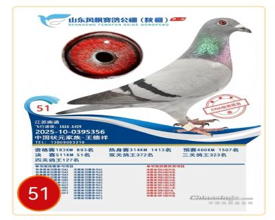 ɽ�|�L���Qِ51��