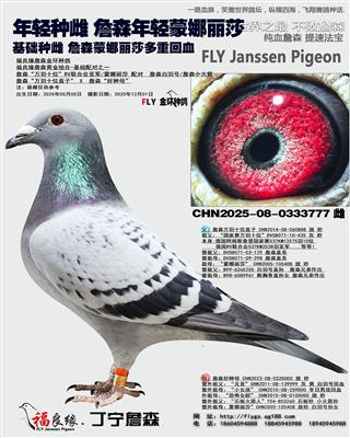 ղɭ������ɯ��Ѫ