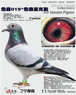 ղɭ019*ղɭ���˹