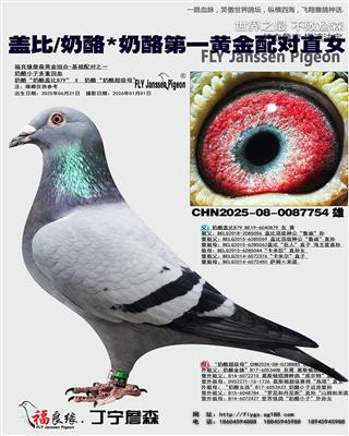 �Ǳ�/����*���ҵ�һ�ƽ����ֱŮ