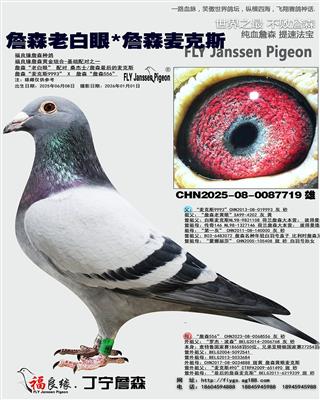 ղɭ�ϰ���*ղɭ���˹