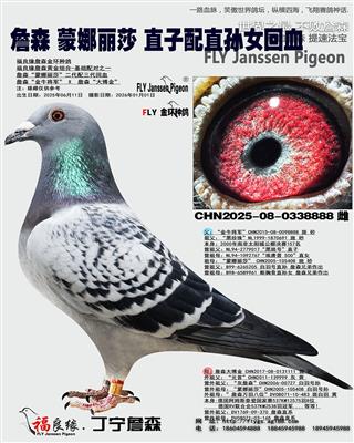 ղɭ������ɯֱ��*ֱ��Ů