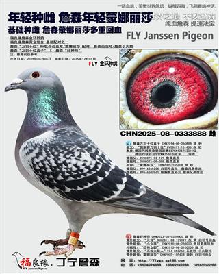 ղɭ������ɯ��Ѫ