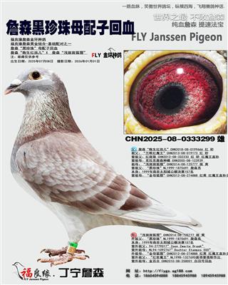 ղɭ������ĸ���ӻ�Ѫ