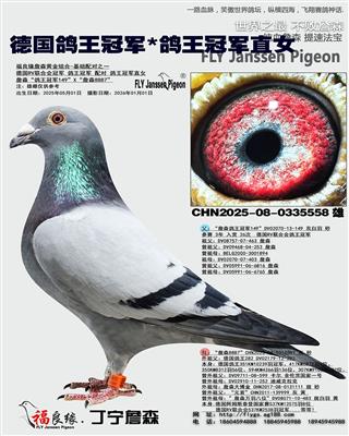 �¹������ھ�*�����ھ�ֱŮ