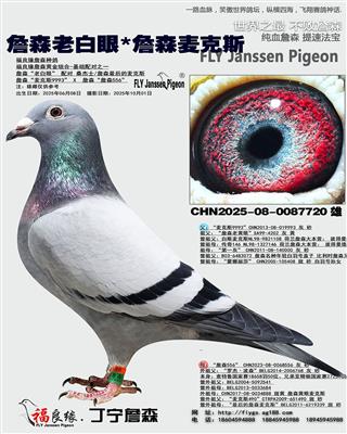 ղɭ�ϰ���*ղɭ���˹