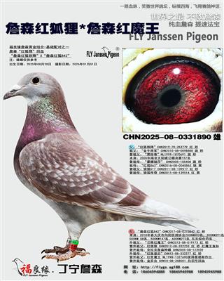 ղɭ�����*ղɭ��ħ��