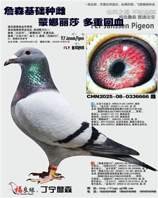 ղɭ������ɯ��Ѫ