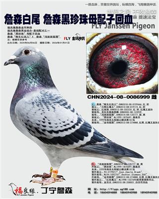 ղɭ��β ղɭ������ĸ���ӻ�Ѫ