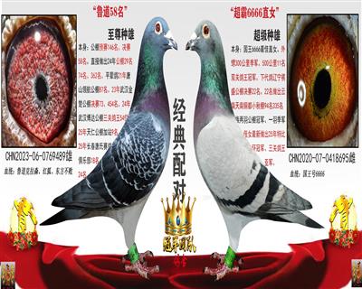 ³���������58��X6666��ĸ