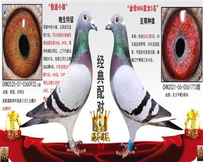 С����  X  ��ĸ5��