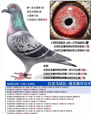 �����켪�����رȻ������ۺ�36��.