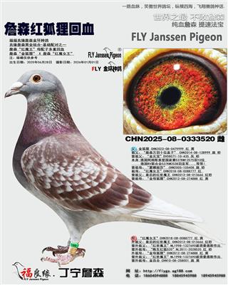 ղɭ��ħ��ĸ���Ӷ��ػ�Ѫ