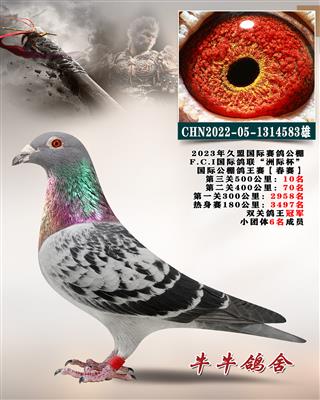 ��������������܊