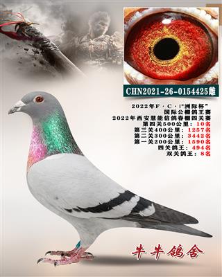 �������ܛQِ10��