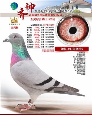 �������82��