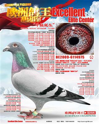 ����240ֱ�ӣ����uƷ��