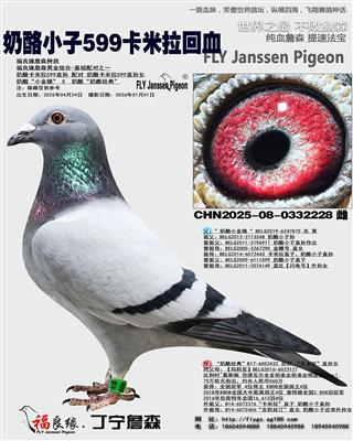 ���������ָ롰��������599��Ѫ