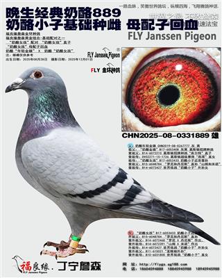 ����С�ӻ����ִ� ĸ���ӻ�Ѫ